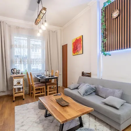 Daire Vintage Flat By Ndk And Vitosha Blvd With Free Parking